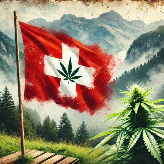 Vers une Réglementation du Cannabis en Suisse : Un Marché Contrôlé en Préparation