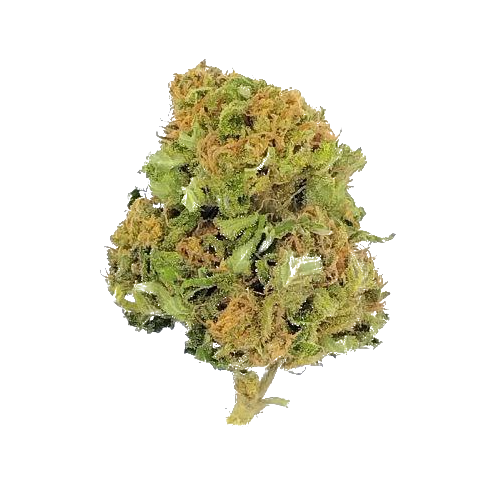 cheese cake fond transparent.png__PID:493eb9d4-ce6a-4feb-bb7d-7f87853cb3a8