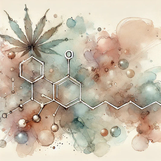 Tout connaître sur les cannabinoïdes : Ces molécules essentielles du CBD