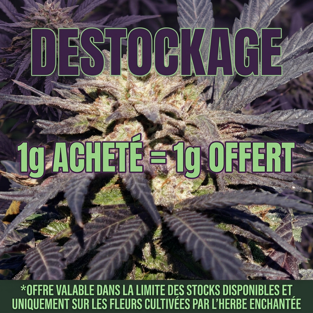 1g acheté = 1 g offert 🎁