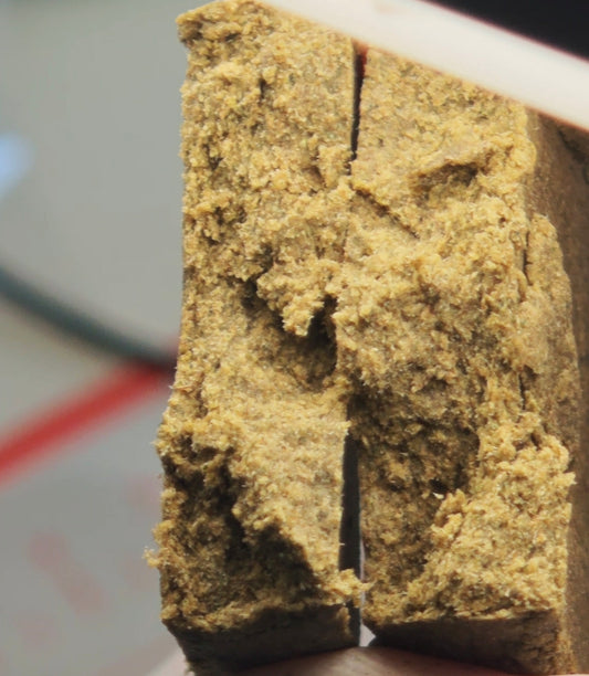 The undead OZK Greenhouse