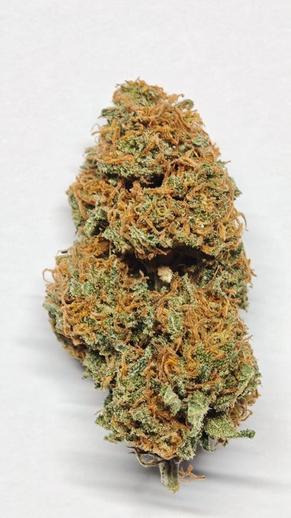 Banana Brownie - INDOOR
