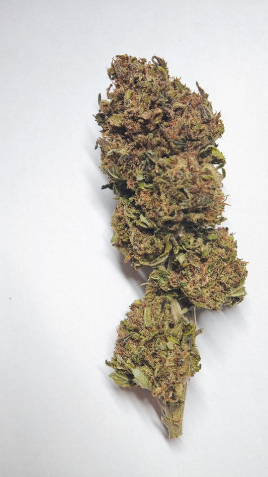 Bubble gum