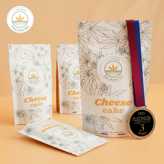 CHEESE CAKE – 🏆 3ème Meilleure Fleur Outdoor • Platinum Cup 2025