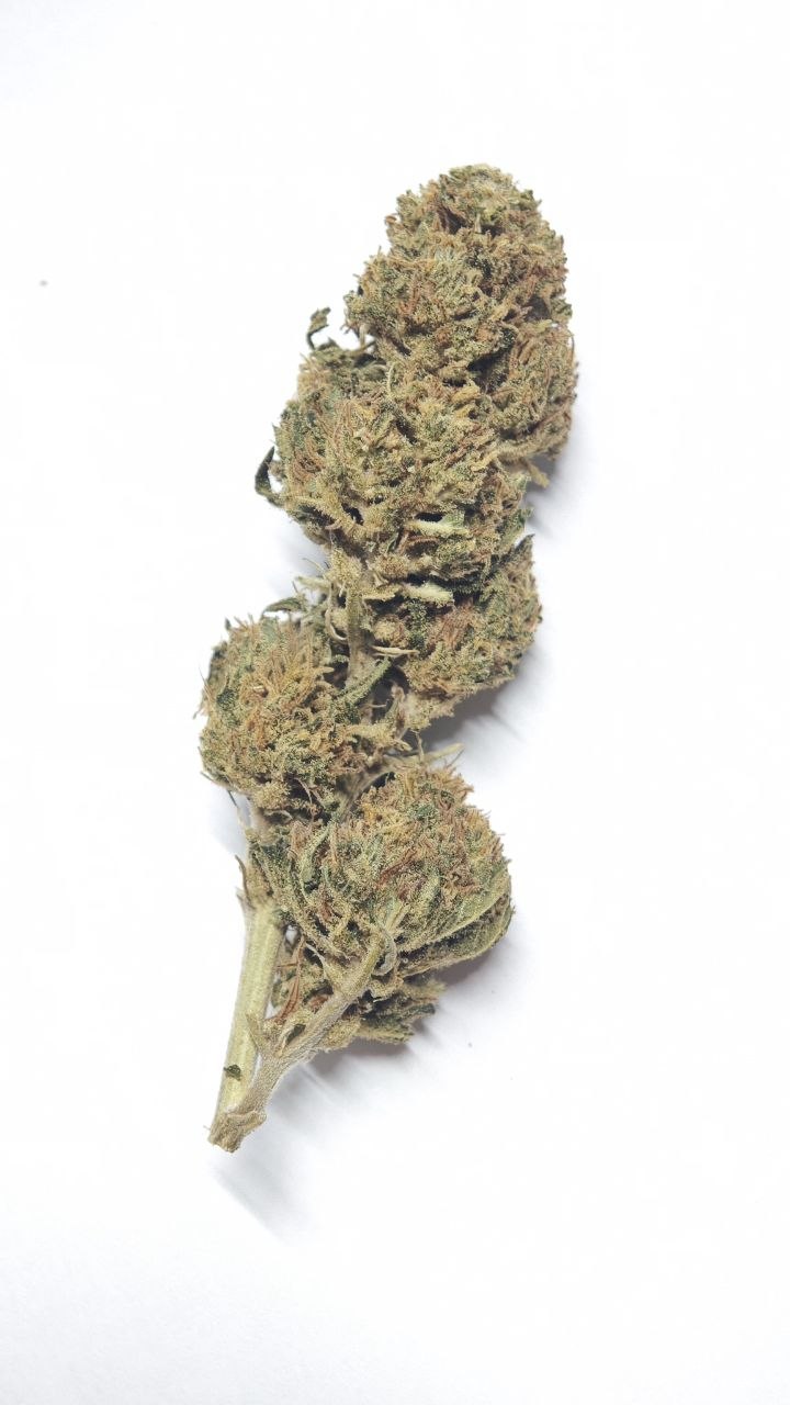 Cherry Bomba