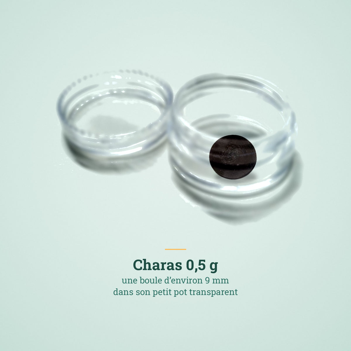 Charas 0,5 g dans son petit pot transparent