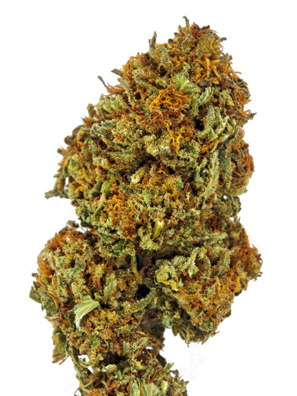 Garnet kush Small bud