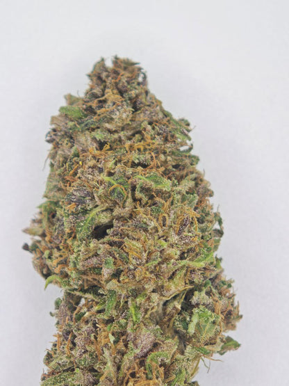 Lemon Cookie small bud