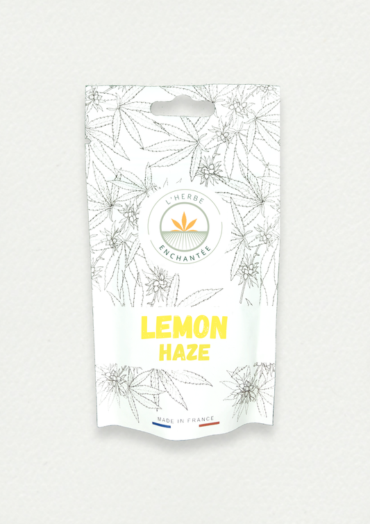 LEMON HAZE CBD