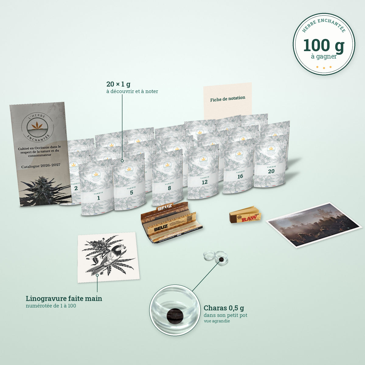 Le pack jury de la Cup 2026 : 20 variétés, linogravure, charas et accessoires