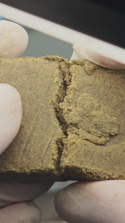 The undead OZK Greenhouse