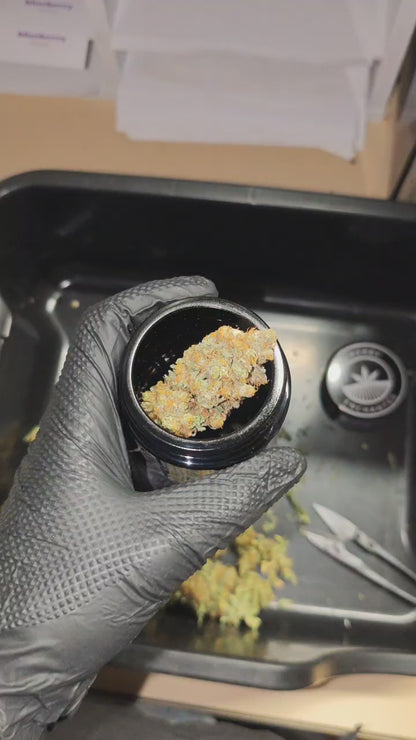 Zombie Kush - INDOOR