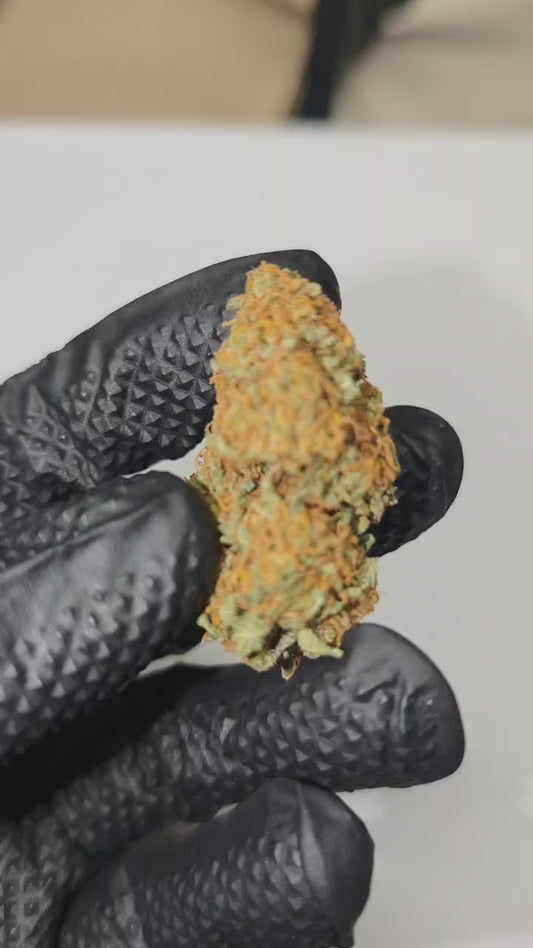 Banana Brownie - INDOOR