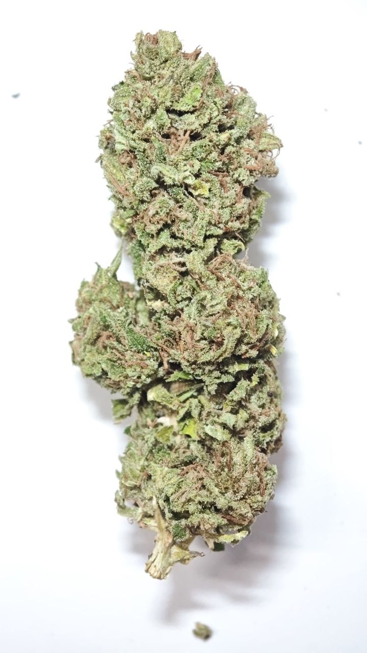 Tropical Fruit Scoop