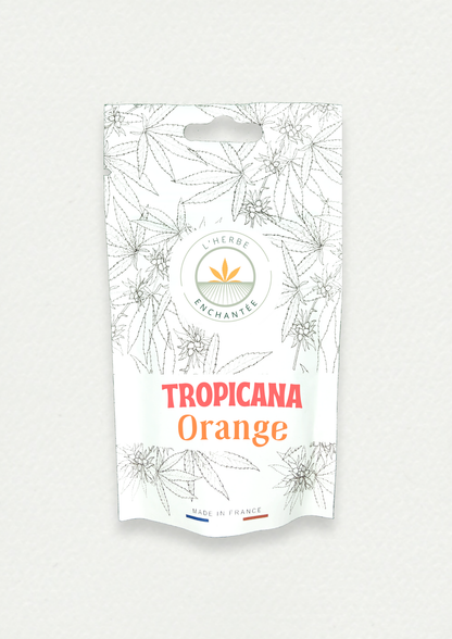 Tropicana Orange Small bud