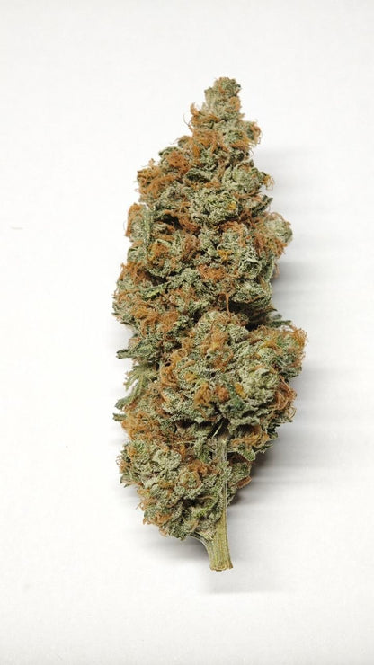 Zombie Kush - INDOOR